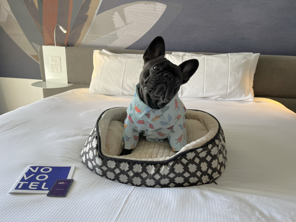 Pet Friendly Novotel Surfers Paradise Surfers